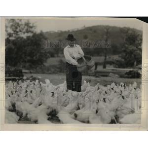 1925 Press Photo R. P. Thominson added as 1,000 chickens to his 3,000 flock