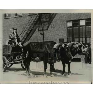 1937 Press Photo Oxen Pulling Cart, Sioux City Iowa Stockyards - nee42264
