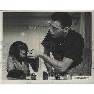 1967 Press Photo Tommy Kirk & Stanley the chimp in The Monkey's Uncle