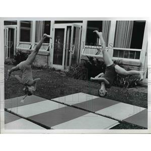 1973 Press Photo Gymnastics - nee40312