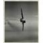 1957 Press Photo F100D Super Sabre of the US Army Air Corps - nem38922