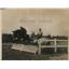 1918 Press Photo Mule balked & refused to take the hurdle at New York Horse Show
