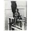 1935 Press Photo British Colonial Nassau Fishermen Miss Jean Robertson