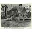 1966 Press Photo Tony Curtis in beach scene in Not With My Wife You Don't