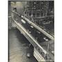 1970 Press Photo Man Attempts To Cross Chicago River - RRW51021