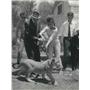 1962 Press Photo English actress Becky Lane and a lion cub - KSB03199
