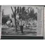 1961 Press Photo Burt Lancaster Bel-Air Mansion Burnt by Brush Fire