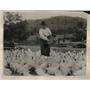 1925 Press Photo R. P. Thominson added as 1,000 chickens to his 3,000 flock