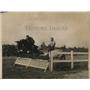 1918 Press Photo Mule balked & refused to take the hurdle at New York Horse Show