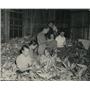 1939 Press Photo Black Mountain Students is doing some Corn-husking