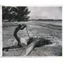 1949 Press Photo Mud and sand being pumped into island in Biscayne Bay Florida