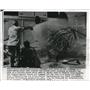 1956 Press Photo Firemen pour water on wreckage of sightseeing plane - nee28601