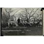 1932 Press Photo Flock of Sheep Led by Lure "Kitchoo," Lowell Massachusetts