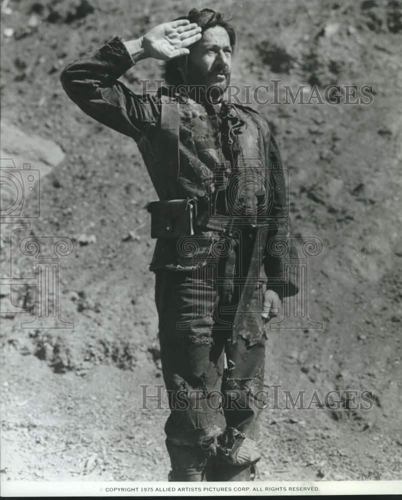 Image1